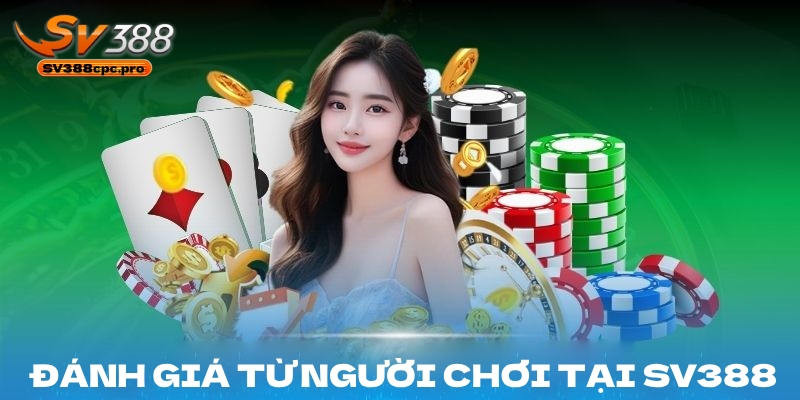 Đánh giá từ người dùng