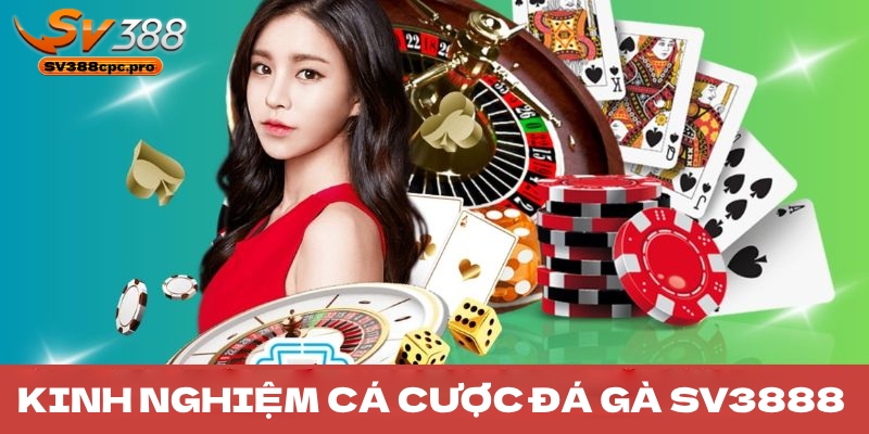 Kinh nghiệm xem đá gà hiệu quả