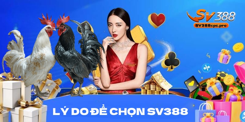 Tại sao nên chọn SV388?