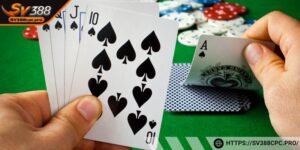 Bỏ quên các quy tắc hay quá dựa dẫm đều hạn chế khả năng của bạn