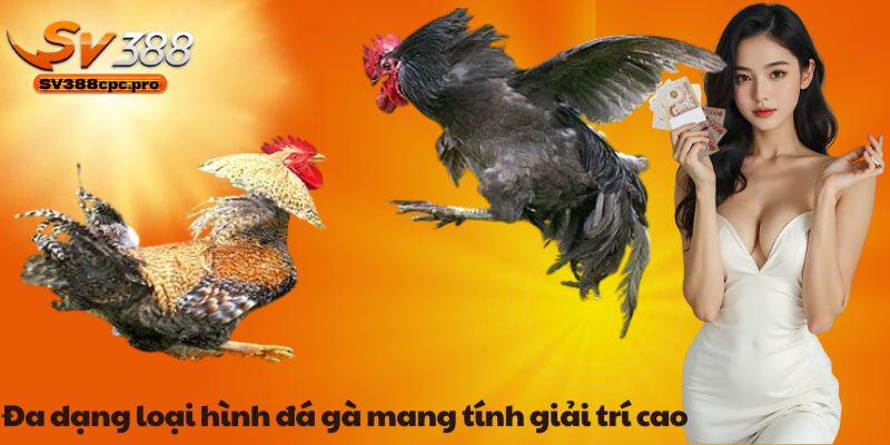 Đa dạng loại hình đá gà mang tính giải trí cao