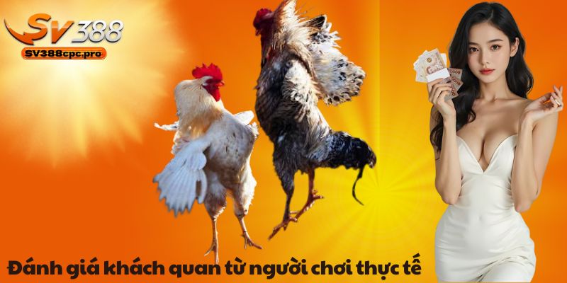 Đánh giá khách quan từ người chơi thực tế
