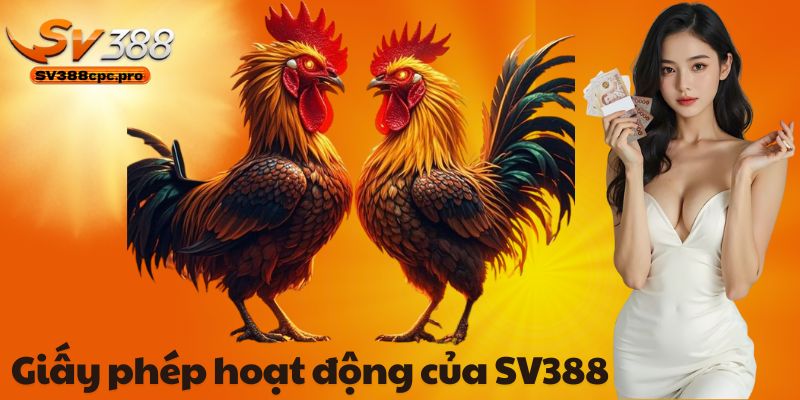 Giấy phép hoạt động của SV388 – Yếu tố tạo nên sự uy tín