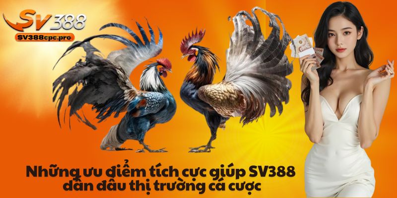 Những ưu điểm tích cực giúp SV388 dẫn đầu thị trường cá cược trực tuyến