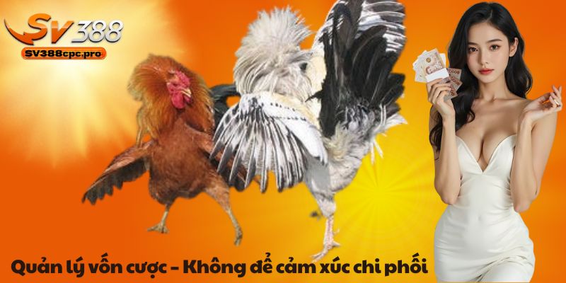 Quản lý vốn cược – Không để cảm xúc chi phối