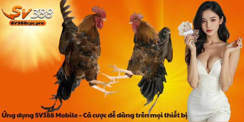 Ứng dụng SV388 Mobile – Cá cược dễ dàng trên mọi thiết bị